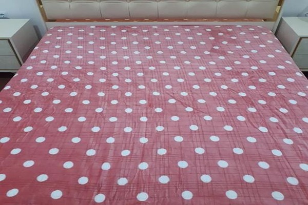 تصویر 5 از قیمت پتو مسافرتی توپ توپی با کیفیت ارزان + خرید عمده